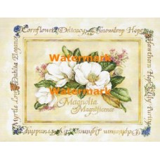 Magnolia Magnificence  - XAR-JA/7894  -  PRINT