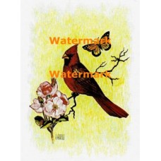 Cardinal & Butterfly  - XKA238  -  PRINT