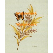 Olive Branch and Butterflies  - XKA3146  -  PRINT
