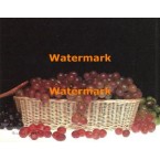 Grapes  - XKA3408  -  PRINT