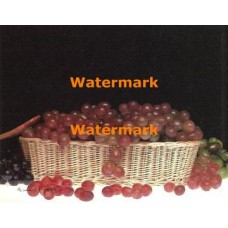 Grapes  - XKA3408  -  PRINT