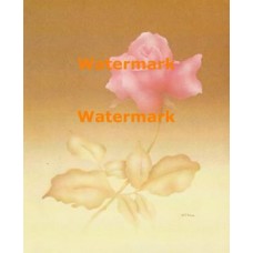 Rose  - XKA3414  -  PRINT