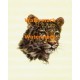 The Leopard  - XKA7137  -  PRINT