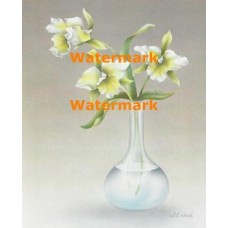 Daffodils  - XKA8634  -  PRINT