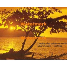 Driftwood Sunset  - XKALAM2167  -  PHOTO PRINT