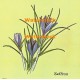 Saffron  - XBKM672  -  PRINT