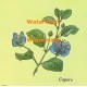 Capers  - XBKM673  -  PRINT