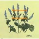 Mint  - XBKM675  -  PRINT