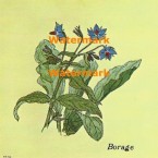 Borage  - XBKM676  -  PRINT