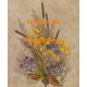 Wild Autumn Flowers  - XKWIA3141  -  PRINT
