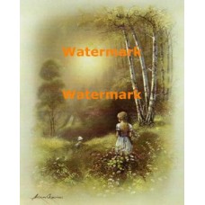 Field Of Flowers  - XBPO-1073  -  PRINT