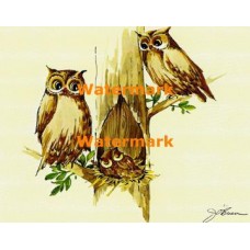 Owl Famly  - XS290  -  PRINT