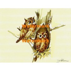 Keeping The Nest Warm  - XS292  -  PRINT