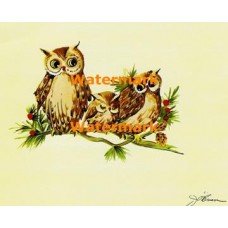 Sleeping Owlet  - XS293  -  PRINT