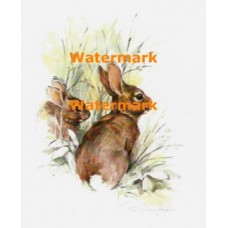 Rabbits  - XS3549  -  PRINT