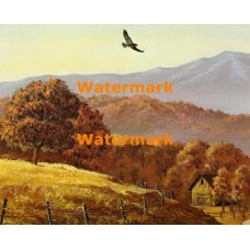 Hawk Soaring Over Field  - XS4932  -  PRINT