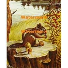 Snack Time  - XS4935  -  PRINT