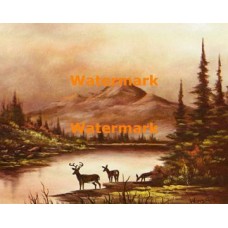 Deer At Lake  - XS5001  -  PRINT