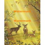 Deer Family  - XS5096  -  PRINT