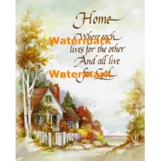 Home  - XS6286  -  PRINT