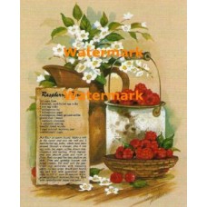 Raspberry Tart  - XS7482  -  PRINT