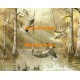 Mallards  - XS7566  -  PRINT