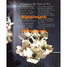 A Legend Of The Dogwood Tree  - XS7962  -  PRINT