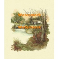 Cottage Along Stream  - XBSC1764  -  PRINT