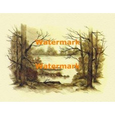 The Rowboat  - XBSC1782  -  PRINT