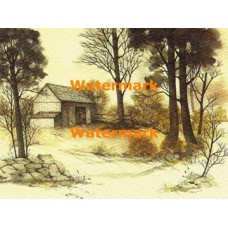Secluded Barn  - XBSC1846  -  PRINT
