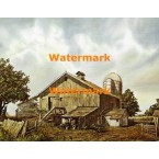 Barn  - XBSC2121  -  PRINT