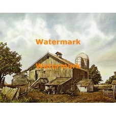 Barn  - XBSC2121  -  PRINT