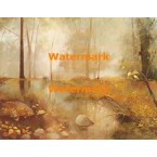 Foggy Day  - XBSC2173  -  PRINT