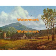 Barn And Silo  - XBSC2374  -  PRINT