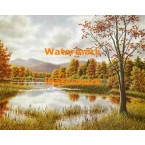 The Pond  - XBSC2826  -  PRINT