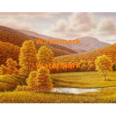 The Hills  - XBSC2827  -  PRINT