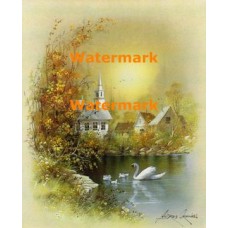 Swan And Cygnets  - XBSC3124  -  PRINT