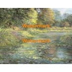 Waterlily Carpet  - XBSC3380  -  PRINT