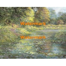 Waterlily Carpet  - XBSC3380  -  PRINT