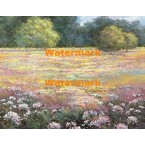 Colorful Field  - XBSC3382  -  PRINT