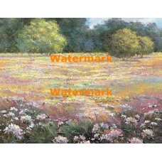 Colorful Field  - XBSC3382  -  PRINT