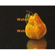 Pear  - XBSL172  -  PRINT