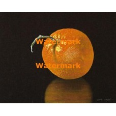Orange  - XBSL175  -  PRINT
