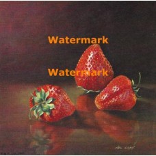 Strawberries  - XBSL217  -  PRINT