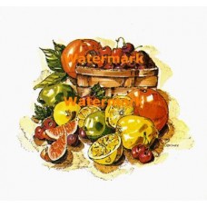 Fruits  - XBSL263  -  PRINT