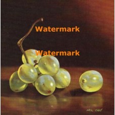 Grapes  - XBSL303  -  PRINT