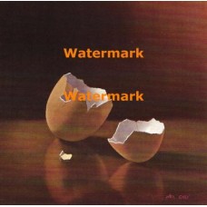 Eggshell  - XBSL305  -  PRINT