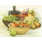 Summer Harvest  - XBSL509  -  PRINT