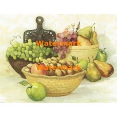 Summer Harvest  - XBSL509  -  PRINT