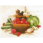 Summer Harvest  - XBSL511  -  PRINT